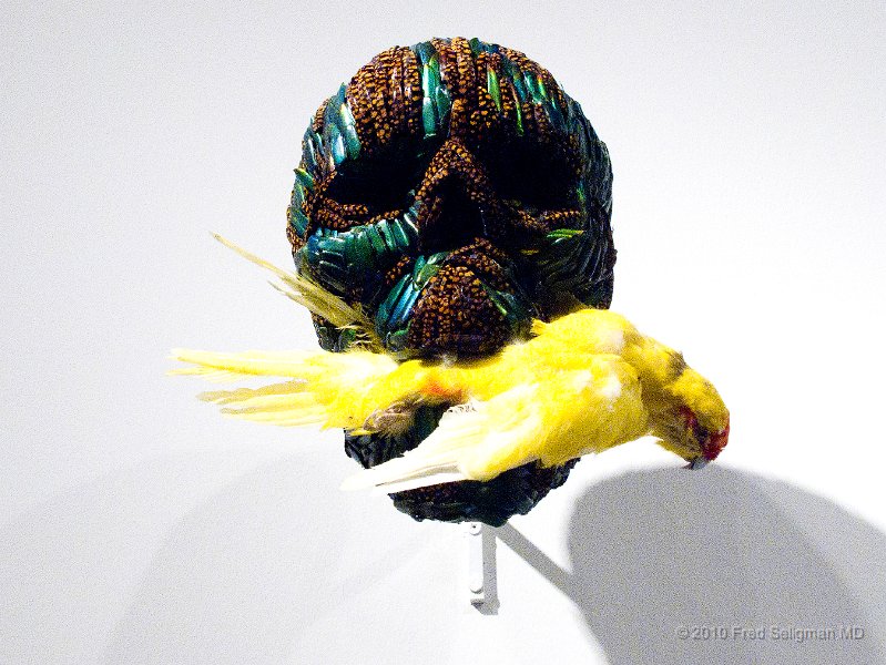 20101205_165550 G11.jpg - Art Basel 2010